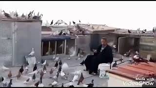 حمام كش الاخ ابو صقر360p