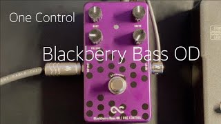 One Control Baby Blue OD」「Silver Bee OD」「Pale Blue Compressor