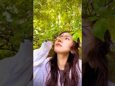 세상에서 가장 조용한 아름다움 #꽃 #음악 #쇼츠