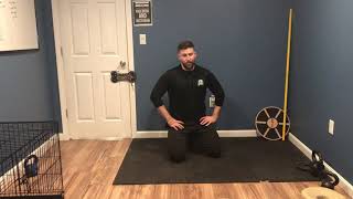 Bear Crawl (Quadruped Lift-Off Progression)