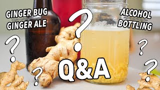 GINGER BUG & GINGER ALE Questions Answered! | Troubleshooting & FAQs on Fermented Drinks