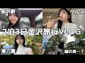 【VLOG】旅行好きお姉さんが行く🚄金沢ぶらり旅が最高すぎた！