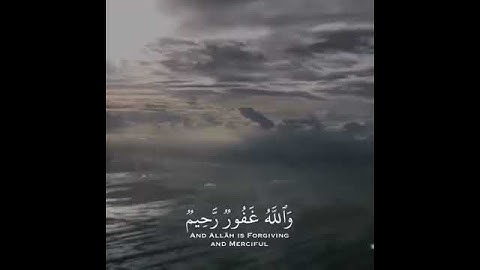 ﴿أَفَلا يَتوبونَ إِلَى اللَّهِ وَيَستَغفِرونَهُ وَاللَّهُ غَفورٌ رَحيمٌ﴾ القارئ ياسر الدوسري 🎤