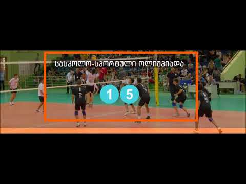 სასკოლო სპორტული ოლიმპიადა 2018 (15)