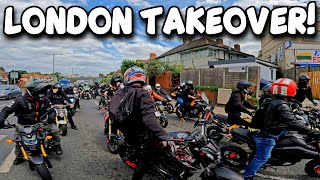 Crazy Honda Grom Rideout Through London