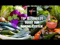 Top 10 foods for boost our immune system  top10today