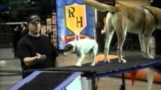 2005 Disney Channel  Commercial Break 5