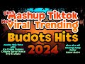 Dj Danz - New Mashup Tiktok Viral Trending Hits 2024 ( Budots Remix )