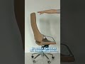 Fashionable Office Chair
