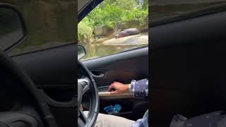 BARU TAU SUARA KUDANIL GROK GROK KAYA GITU‼️