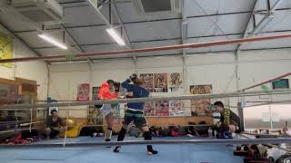 2023033101 toellgym.com
