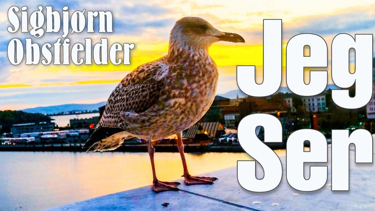 Sigbj rn Obstfelder Jeg Ser Diktfilm YouTube sigbj-rn-obstfelder-jeg-ser-diktfilm-youtube