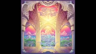 Technicians of the Sacred  An In Depth Interview With Ozric Tentacles