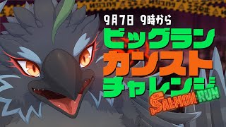 【Splatoon3】最大規模のビッグランをスタダで駆け抜ける！【#ヤギスト】