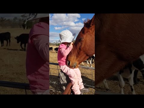 3-Year-Old Sings Horse || ViralHog