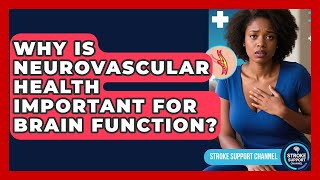 Why Is Neurovascular Health Important for Brain Function? | Stroke Support Channel