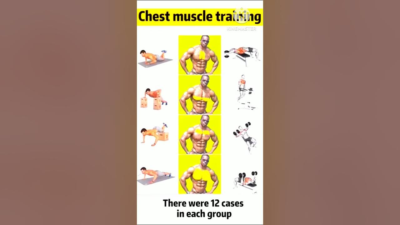 Workout Creator/ Home and Gym/ chest cut and Full chest muscles 💪 