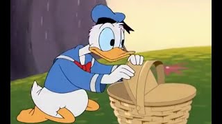 👀Donald's Failed Fourth 🎆 | A Firework-Filled Comedy Cartoon! 🤣🤣🤣