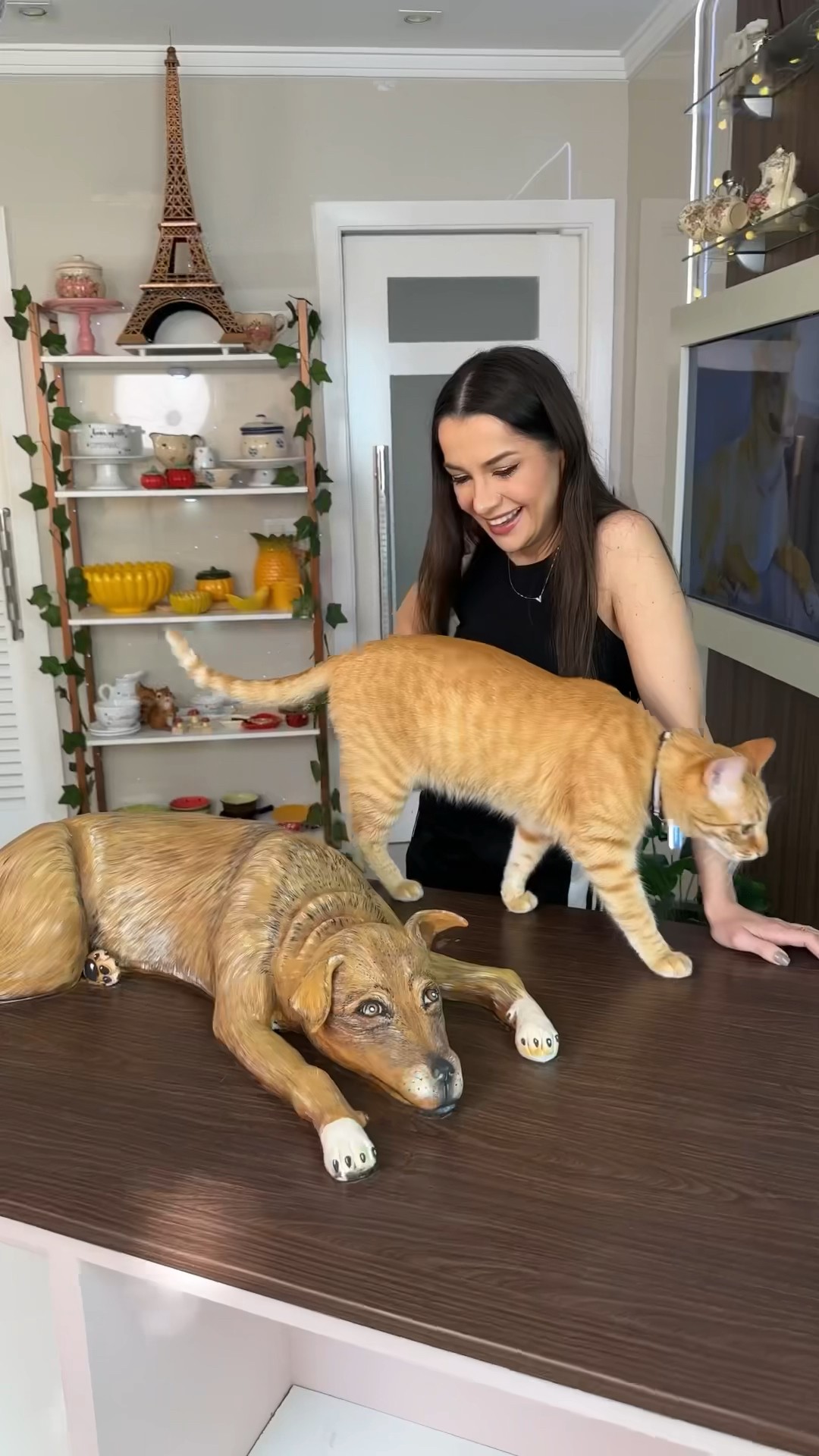 E meu gato que achou que o bolo era um cachorro de verdade ?