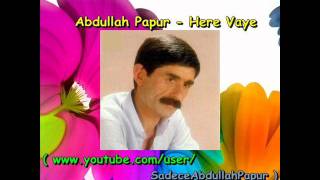 Abdullah Papur - Here Vaye Resimi