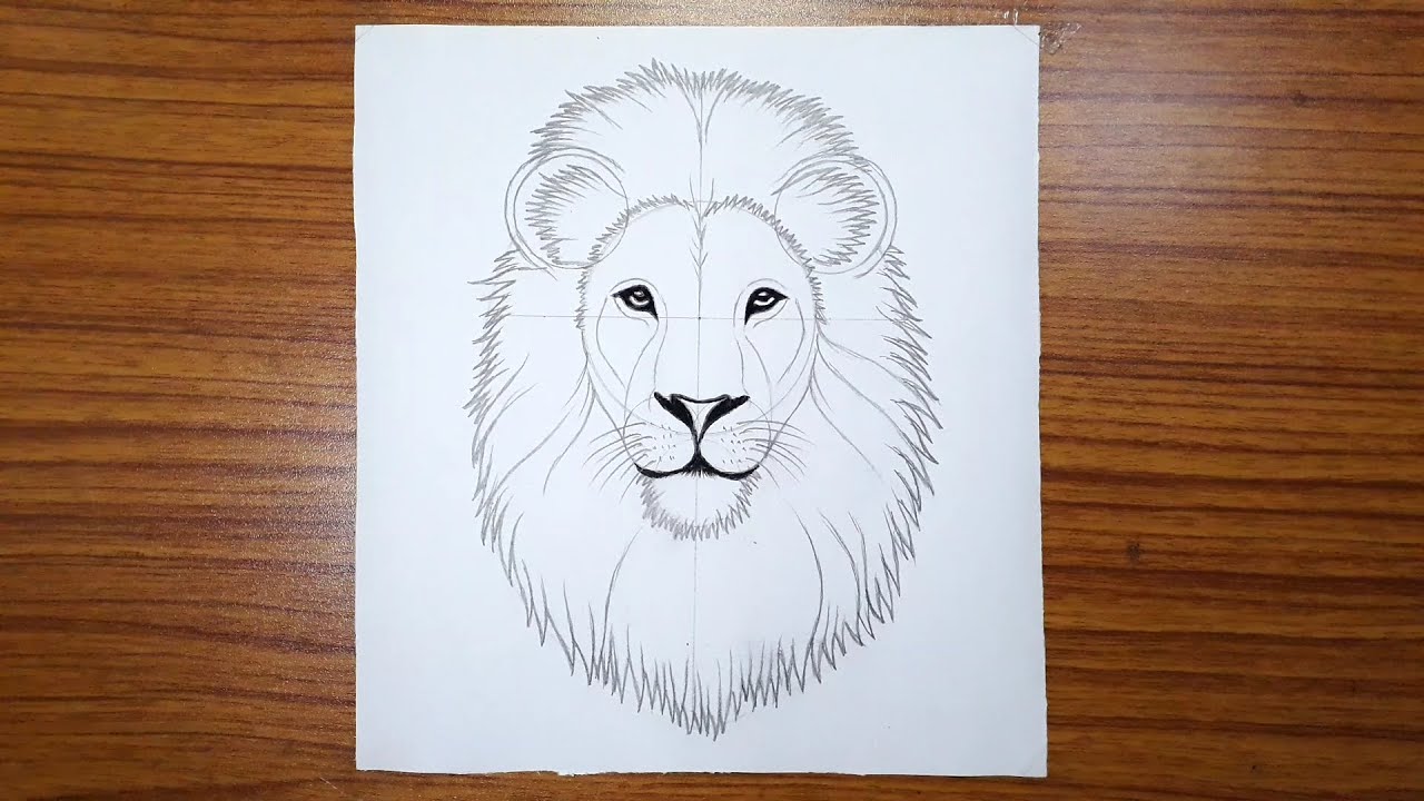 Portrait Lion N&B, Drawing by Jess.C.Art | Artmajeur