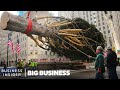 How The 75-Foot Rockefeller Christmas Tree Makes It To NYC | Big Business