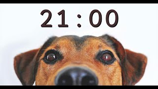 21 Minute Timer for School and Homework - Dog Bark Alarm Sound