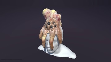 Kranion, Queen or Plague Spreader Version. Unity 3d Demo. Head Grab Example.