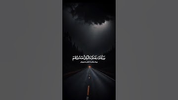 اكتب شيء تؤجر عليه ❤️🎧 #القارئ ياسر الدوسري