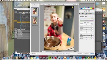 How to add metadata in Bridge