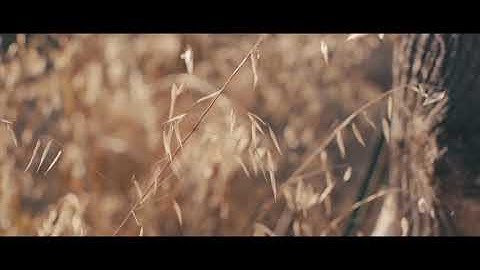 سورة الجن للقارئ الشيخ عبد الباري الثبيتي