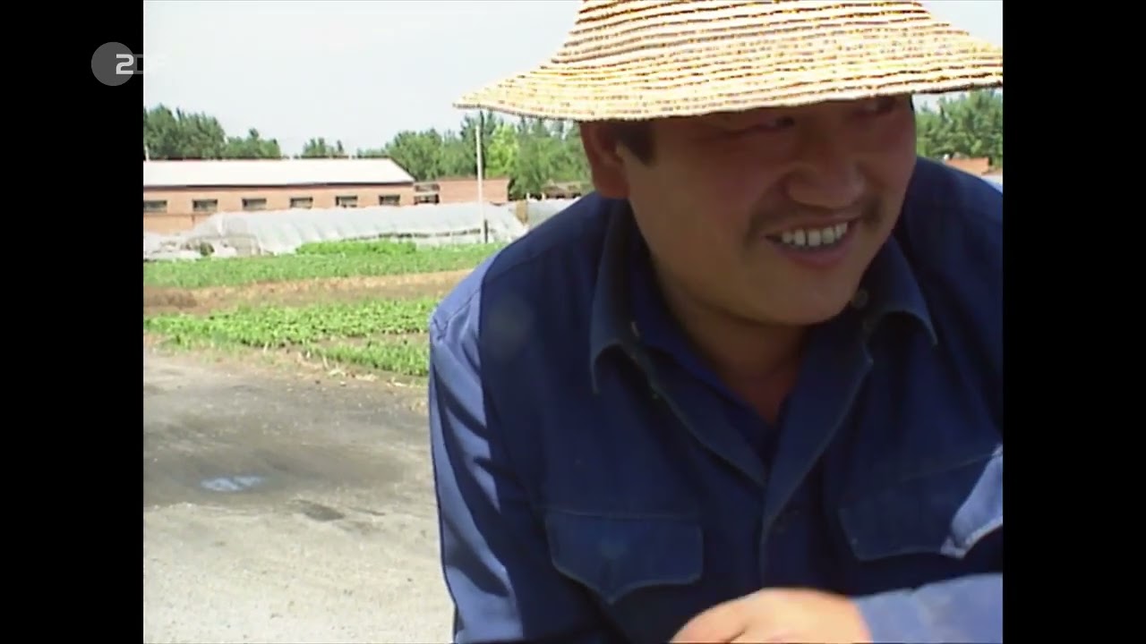 서독 텔레비전 2채널: 1989년 학생 운동과 사회 각 계층 반응 기록