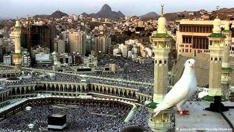 الشيخ متولي عبدالعال - ما تيسر من سورة هود