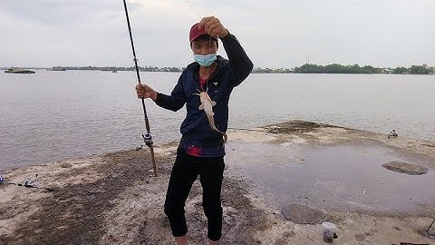 Câu cá cầu Mỹ lợi - tập 1phần 3 đêm 30/4 cá ăn giật mỏi tay