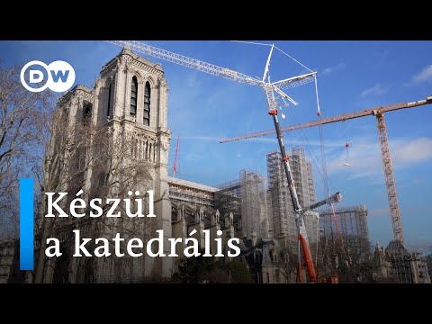 Videó: A párizsi Notre Dame-székesegyház: Látogatói információk