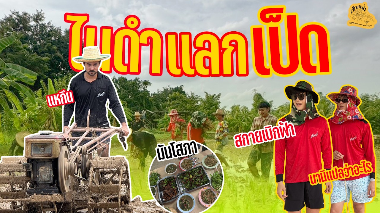 เซียนหรั่ง - วิถีชีวิตแบบมะลายยายอยาก l ตอน ไนดำแลกเป็ด