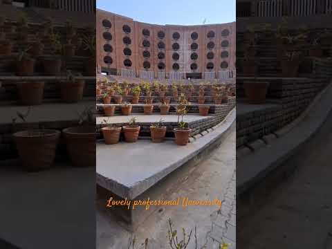 lovely professional University