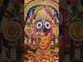 Jagannath ji ki aarti #jagannath #aarti #shorts #shortsvideo #trending