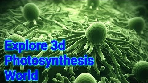 🌿 Photosynthesis Explained in 3D 🔆 | How Plants Make Food & Oxygen 🍃