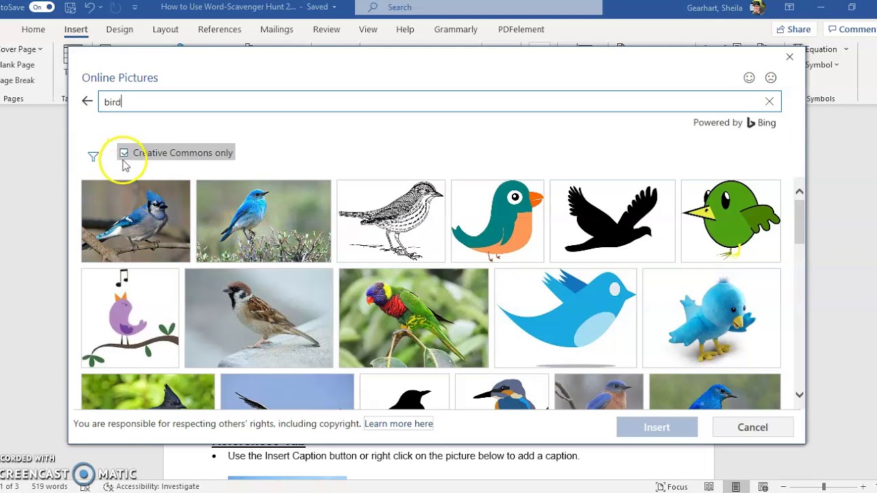 Insert an Online Picture in Word - YouTube