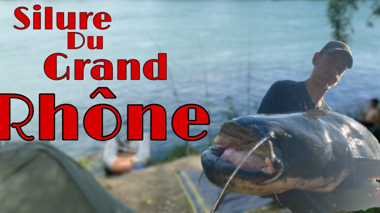 La pêche du SILURE / la fosse aux LIONS ! (le film)