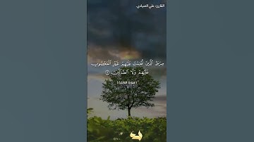 سورة الفاتحة | القارئ: علي الصيادي -وفقه الله-.