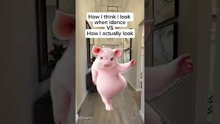 What I Think I Look Like