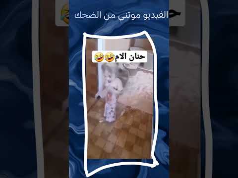 الفيديو اللي خلاني اموت من الضحك نظفتها ههههه مشعل وبس