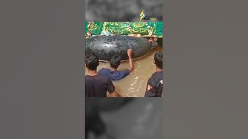 Warga Desa Pemerihan Terpaksa Berenang Seberangi Sungai untuk mengantar Jenazah ke Pemakaman #shorts