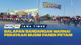 Petani Ngawi Gelar Balapan Bandangan Usai Panen