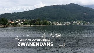 Zwanendans - Gmunden Austria (2'17")