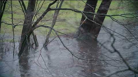 The Story of Nitrogen - Natural Nitrate Removal