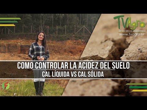 Video: Cómo Reducir La Acidez Del Suelo