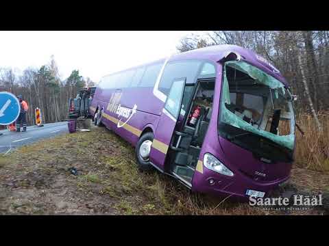 Video: Kuidas Lähevad Bussid Moskvast Ivanovosse